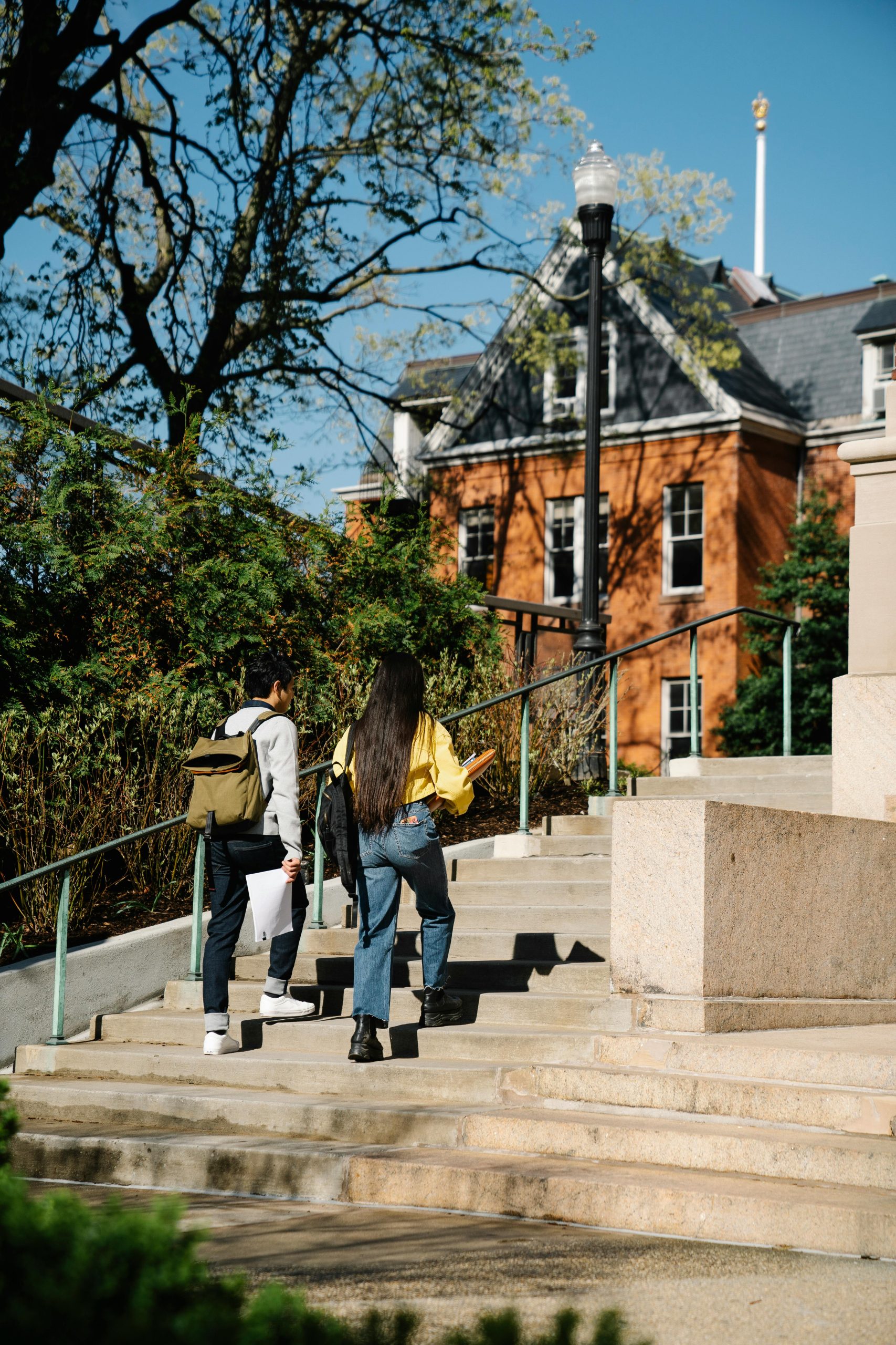 Career Change. Back to university or back to community college first?