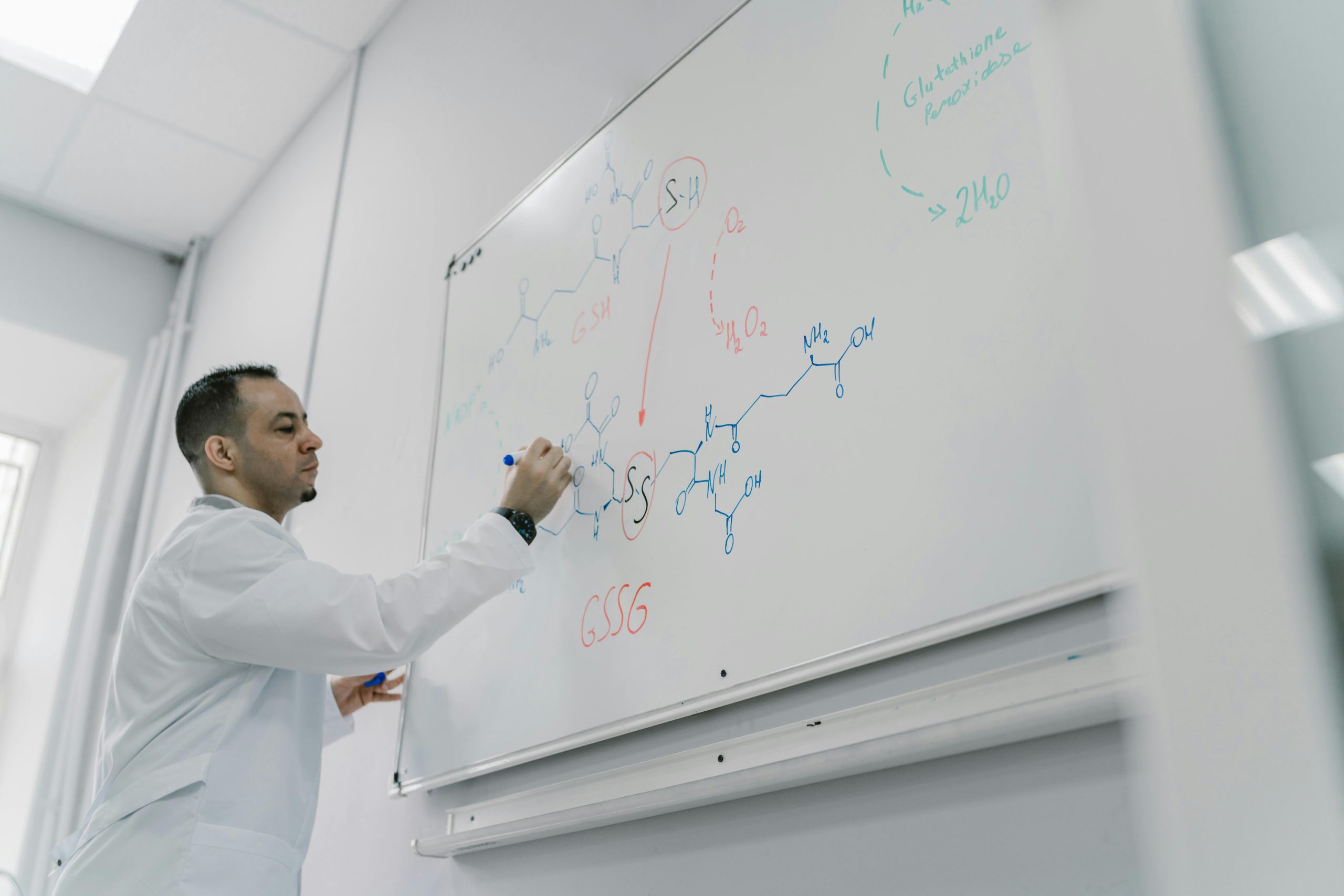Undergrad research intern – better to email the professor or like a PhD under that professor?